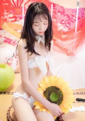 春花子电视剧免费观看_720全集在线观看